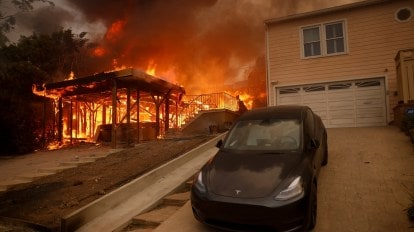 Hollywood Wildfire