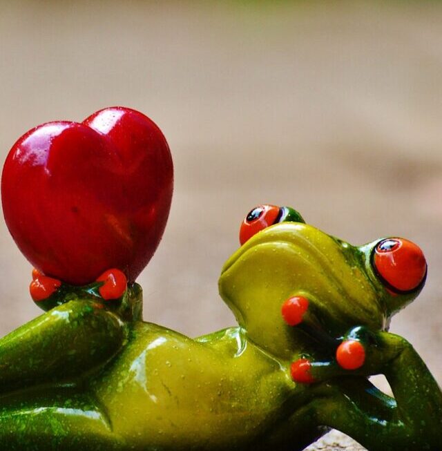 Valentine’s Day : Romantic Ideas & Gift Guide 💖